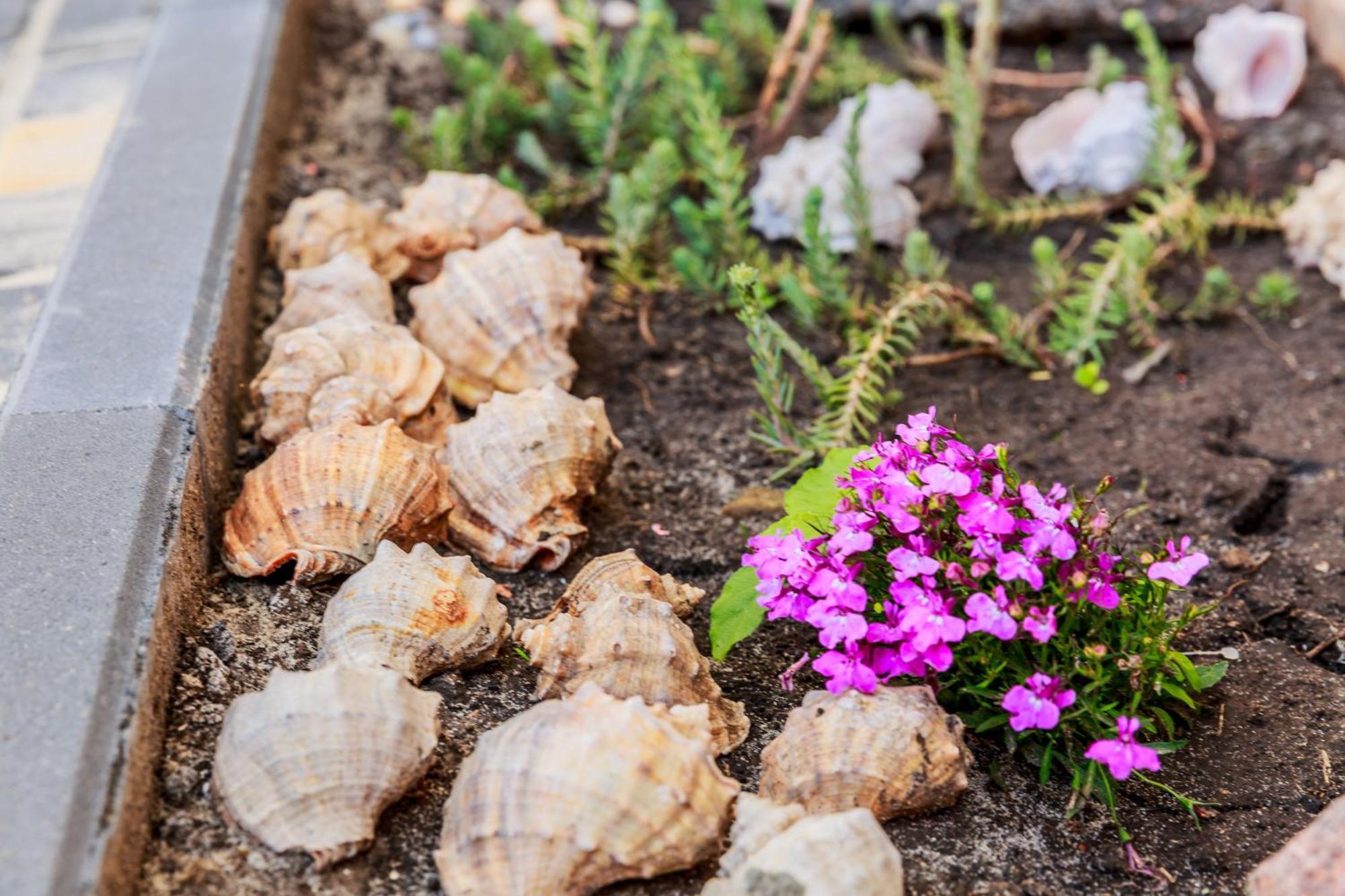 Villa Shell Zatoka Dış mekan fotoğraf